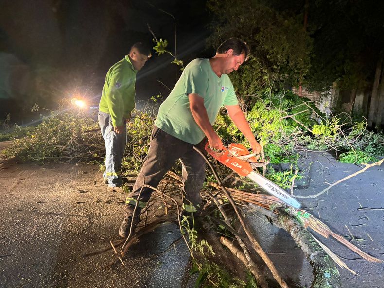 DÍA Y NOCHE. El gremio destaca el trabajo de los municipales tras el temporal. &nbsp;