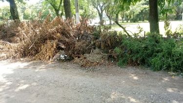 Foto de lectores