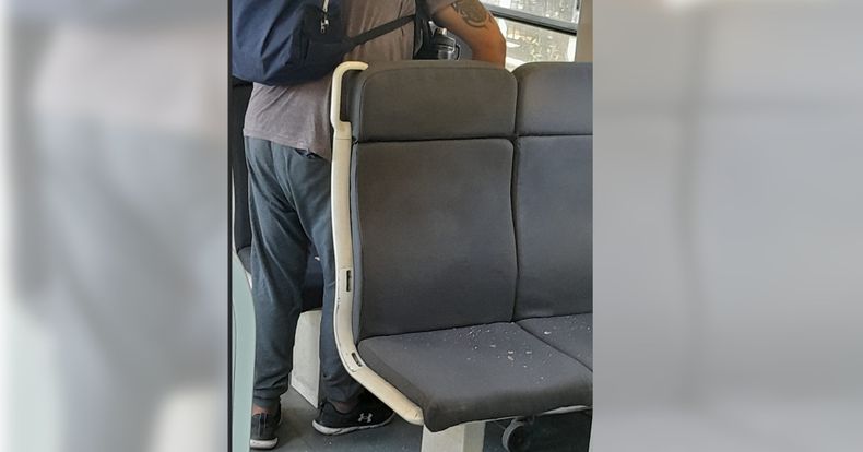 Animales HDRMP vandalizando (arrojando piedras a la formación) entre Sol y Verde (qué raro) y estación Derqui. Tengan cuidado. Baltazar Sueldo.