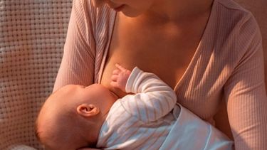 Los anticuerpos de las mujeres que atravesaron la enfermedad y/o que fueron vacunadas, se transmiten al bebé a través de la leche. .