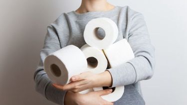 cuando no existia el papel higienico, ¿que usaban las personas?
