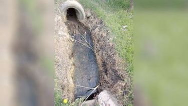 Las fotos fueron tomadas en el Instituto el Árbol Familiar de chicos especiales. Tiran el agua de los pozos ciego a las zanjas. Es insoportable el olor nauseabundo y demasiado que hay por la tarde y horas tempranas de la mañana. El instituto no se hace cargo de los hechos. Verónica. .