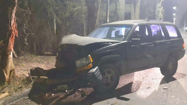 CONDUCTOR HERIDO. Una camioneta impactó contra un árbol en la calle Caamaño..