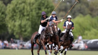 MONARCA. Ellerstina defenderá su título 2019 en el predio “Lalor” de Pilar..
