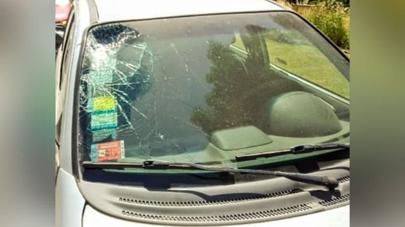 IMPACTO. La víctima dio contra el parabrisas y sufrió graves heridas...