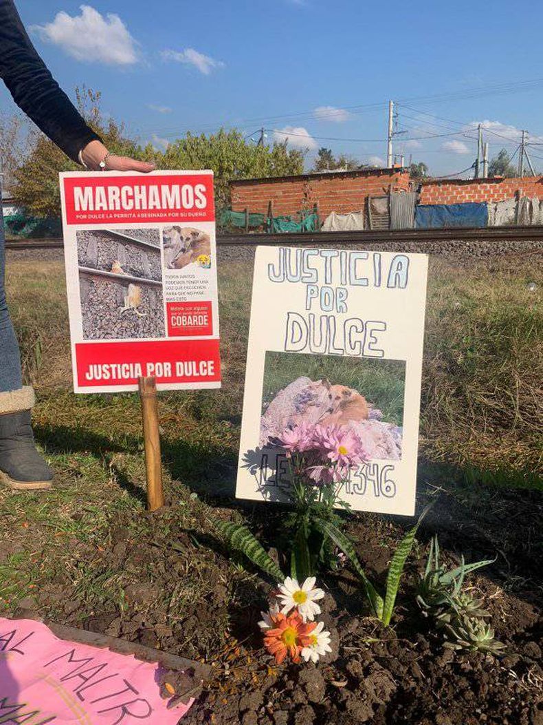 Vecinos y proteccionistas piden justicia por la perra Dulce.