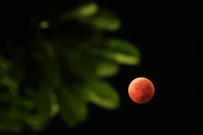 Así fue el eclipse lunar total de la Luna llena de Sangre este 3 de marzo. (Infobae).