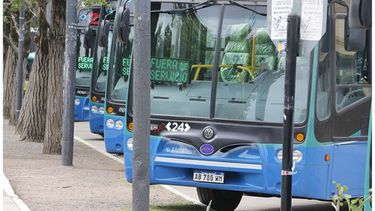 EN FILA. Los colectivos fueron exhibidos frente al municipio..