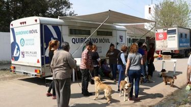 ATENCIÓN. Un quirófano móvil castra animales en los barrios..