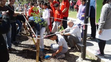 CAMBIO. Alumnos de escuelas plantaron los nuevos árboles..