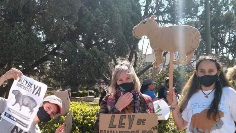 Ambientalistas reclaman que exista una ley de protección de los humedales. .