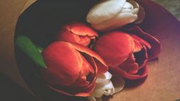 Tres ideas para regalar en San Valentín