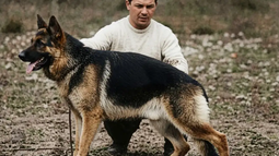 Día Nacional del Perro: el héroe canino que inspiró una fecha especial en Argentina Día Nacional del Perro: el héroe canino que inspiró una fecha especial en Argentina