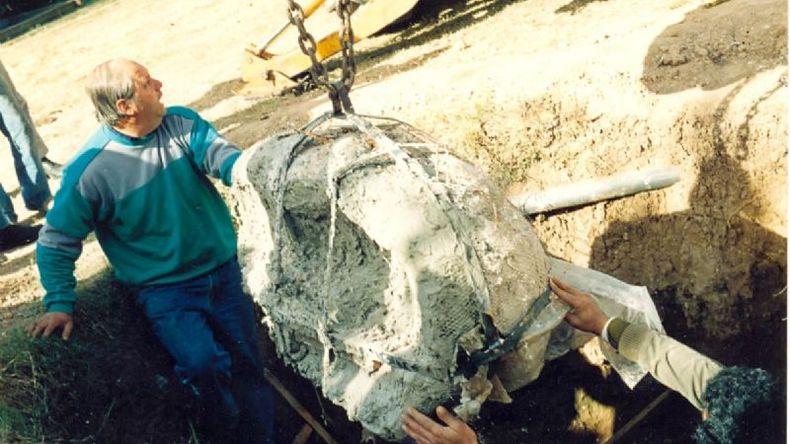 Uno de los ejemplares hallados en La Lomita, a principios de los 90..