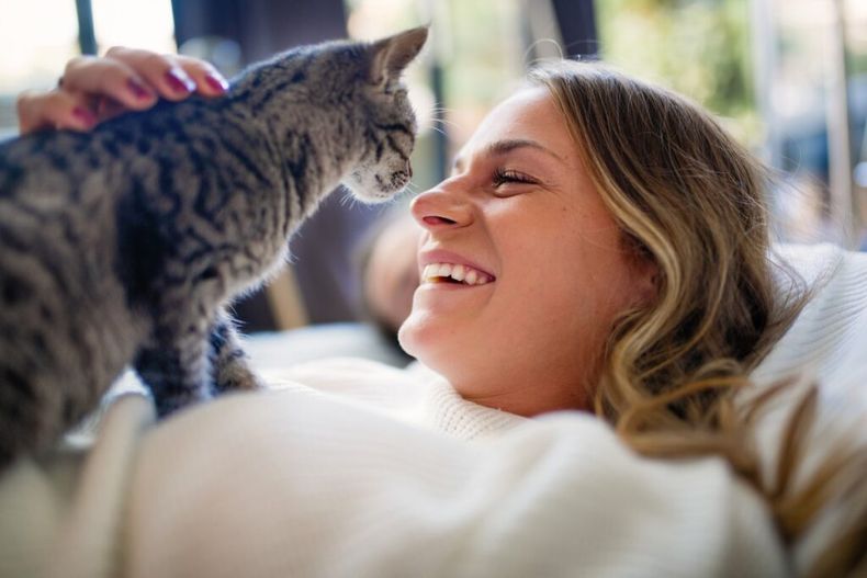 Los gatos prefieren a las-mujeres. Foto Mascotasmania.es.jpg