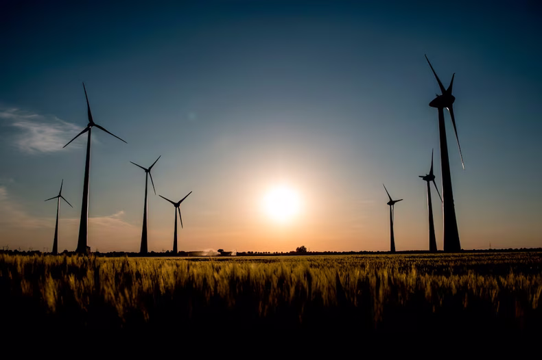 El lema anual fomenta el uso de la energía renovable. (EFE)..avif