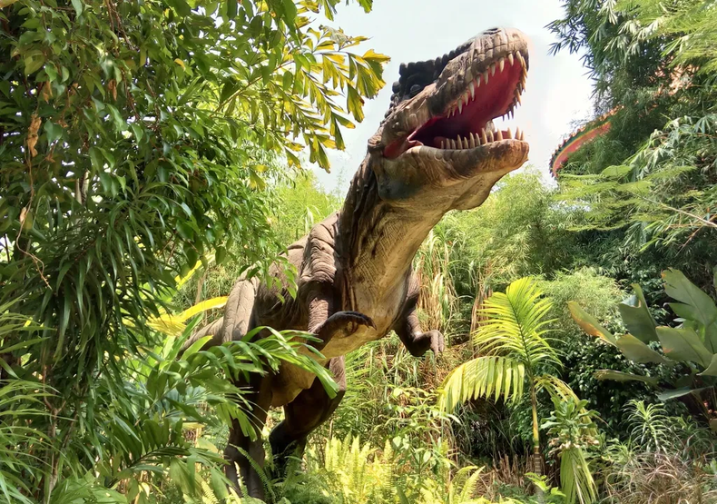 En los bosques que merodeaban los dinosaurios existían infinidad de plantas. (meteored.com.ar).webp
