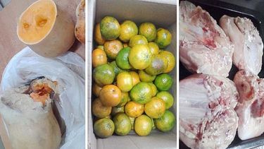 CALIDAD. Zapallo en mal estado mandarinas verdes y 4 pechugas para 120 chicos..