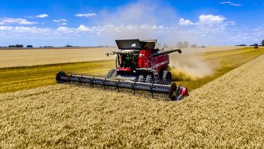 COSECHADORAS. Massey Ferguson mostrará toda su línea en Expoagro 2025.