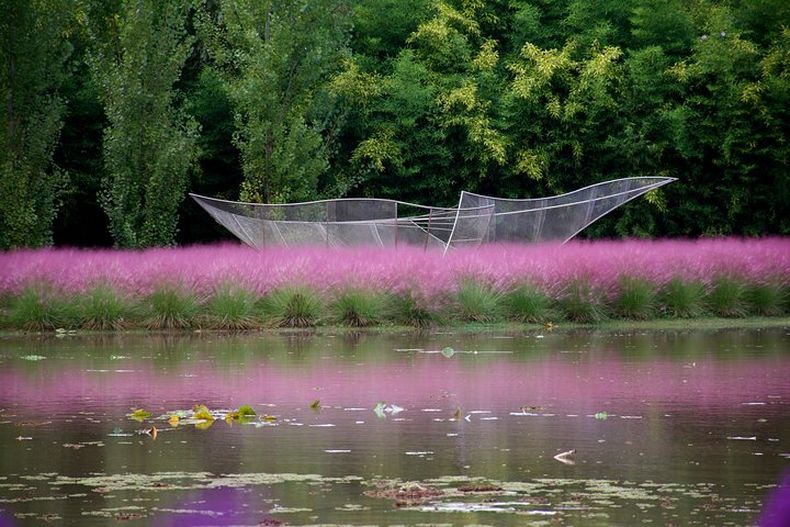 La Isla El Descanso, una isla única en un sitio especial. (tripadvisor.com).