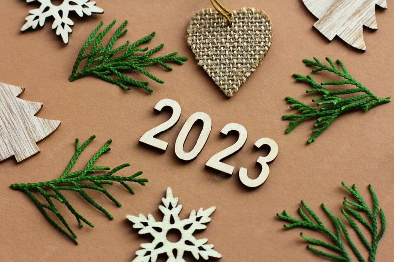 7 Consejos sustentables para una Navidad ecológica. (freepik.es)..jpg