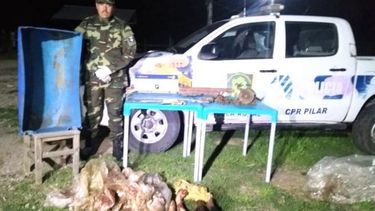 La carnicería donde se halló el animal faenado está ubicada en Moreno. .