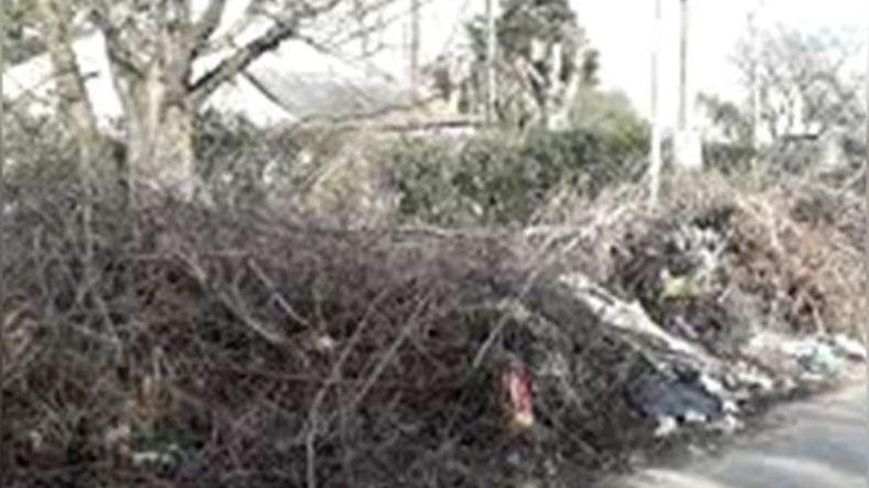 f800x450 123230_174676_5050.jpg