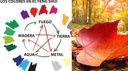 Estos son los colores para usar en otoño y atraer la abundancia, según el Feng Shui