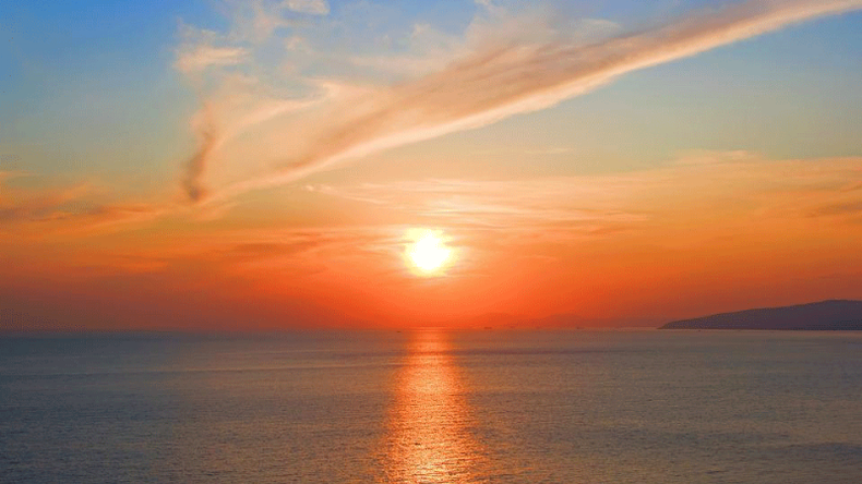 f800x450 116706_168152_5050.png