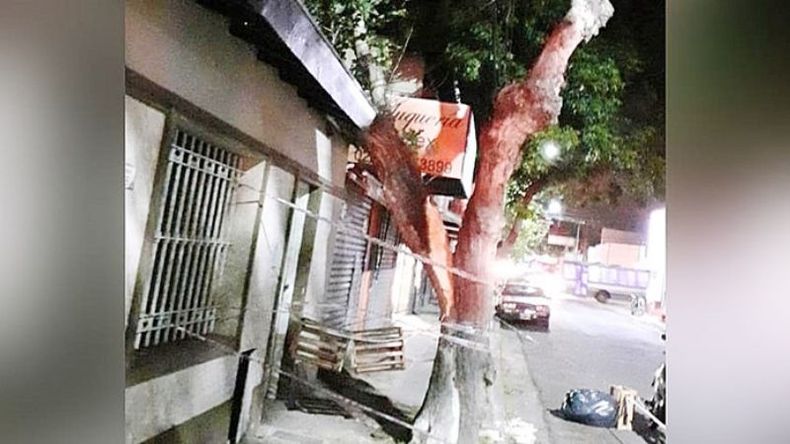 PILAR CENTRO. Árbol caído sobre el techo de una vivienda en Ituzaingó al 400. @juancaimpacto. .