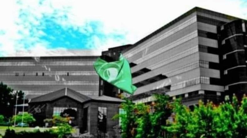 PAÑUELO VERDE. La imagen de la convocatoria..