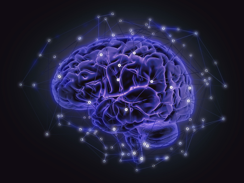 Semana Mundial del Cerebro 2025. (visao.pt)..png