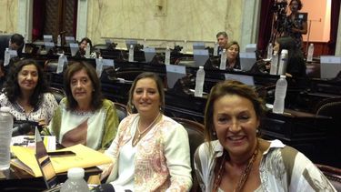 MARCELA CAMPAGNOLI: Pilarense en Diputados