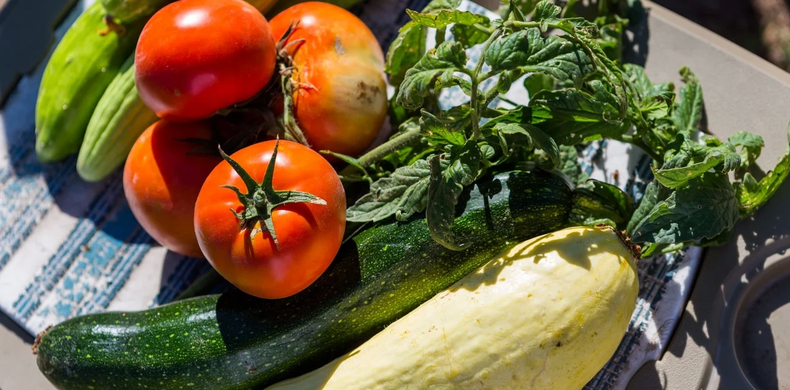Es preciso asociar los cultivos. (Shutterstock)..webp