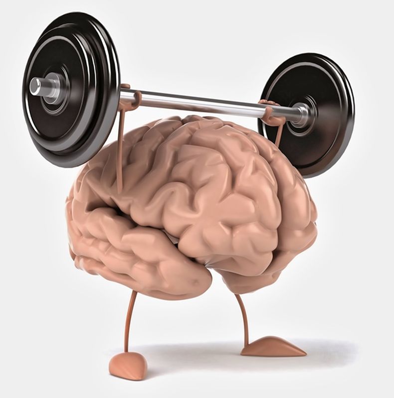 100 ejercicios cognitivos para estimular la mente. (fisioactividad.com).