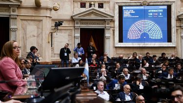 SESIÓN ESPECIAL. Cecilia Moreau presidió el debate en Diputados.
