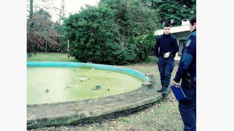 HALLAZGO. Policías en la pileta donde encontraron a los animales. .