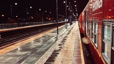 Foto: Damián Ramírez..