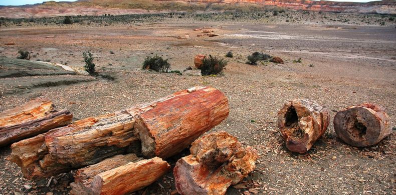 El Bosque Petrificado Sarmiento está a unos 30 km de esta ciudad. (sib.com.ar).jpg