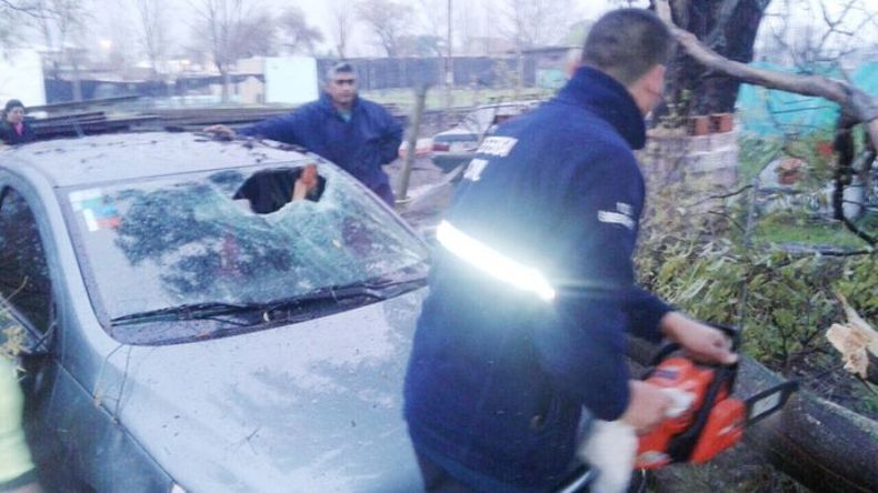 MOTOSIERRA. Defensa Civil retira una rama que cayó sobre un auto en Villa Buide. .