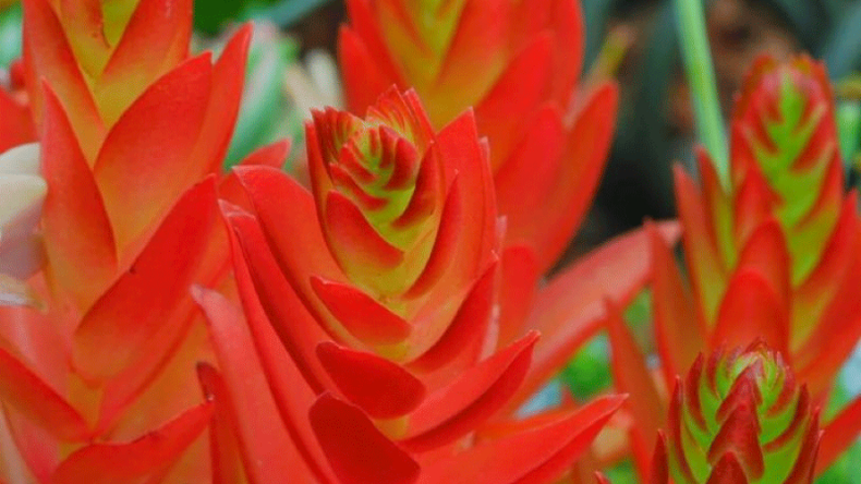 f800x450 118333_169779_5050.png