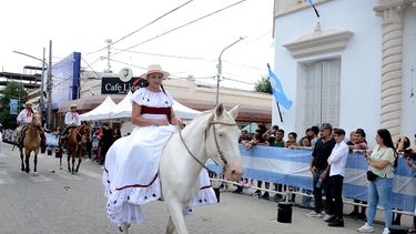 el desfile del tratado del pilar, en 40 fotos