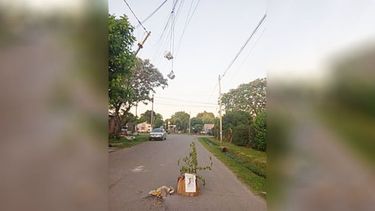 Desde el 17 de septiembre el poste está así. Se realizaron los reclamos a Edenor y a la Municipalidad de Pilar. Y hasta el día de hoy ninguna respuesta. Esperando a que ocurra una desgracia. Ya que a unas cuadras hay un colegio. Se encuentran en la calle Cañonera Tortuga 1240, entre Bergantín República y Fragata Hércules, Villa Verde Pilar. Yesica Gauto..