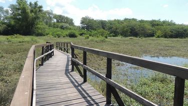 la reserva natural busca voluntarios para conservar el sendero de las tortugas