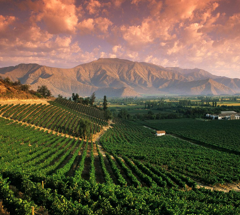 Mendoza lidera el ranking. (7summitsproject.com)..png