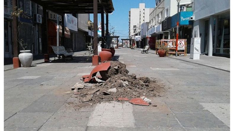 MACETA. Una muestra de lo abandonada que está la peatonal. .