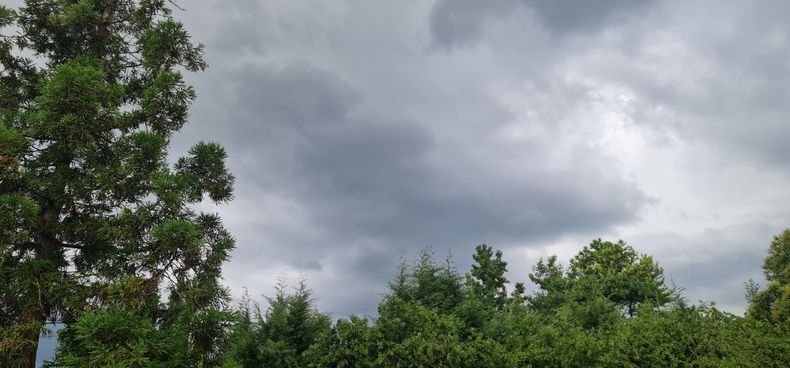 Se viene la #Lluvia por #Pilar. Silvia Bianco (@SilBia05).