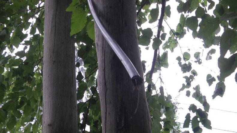 CABLE PELADO. Así quedan luego de sustraer el cobre..