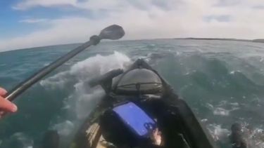 Andrés Bottini vivió un día inolvidable a bordo de una ballena jorobada. .