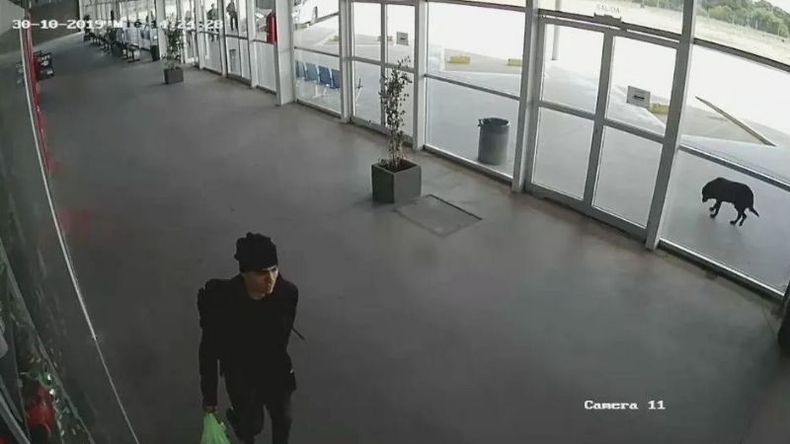 El joven aparecía en las cámaras de la terminal de Gesell..